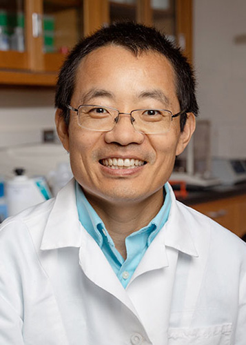 Dr. Leyi Wang