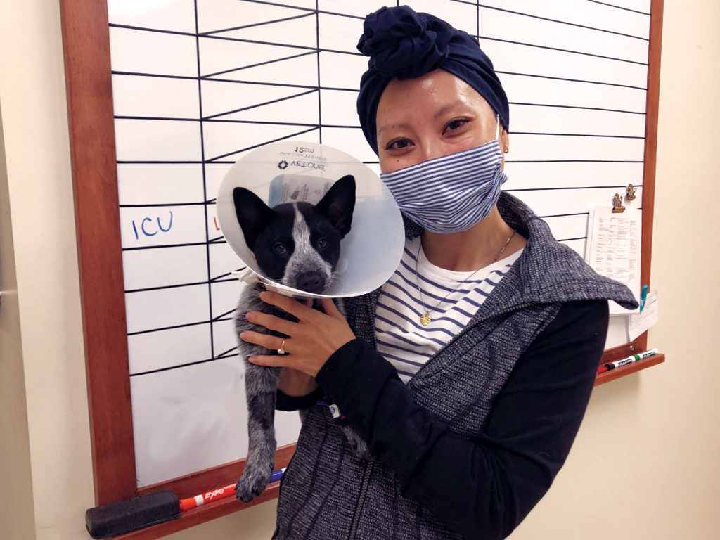 Dr. Kadotani holding small black and white dog in cone