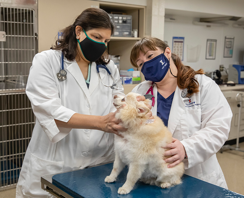 Dr. Suma Rao (left) and veterinary student Natalie examine a dog.