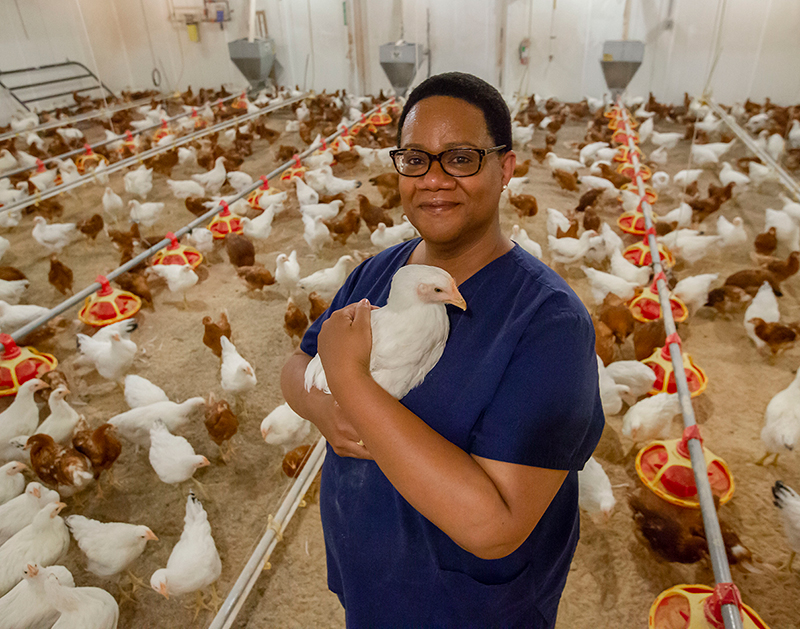 [Dr. Yvette Johnson-Walker with chickens]