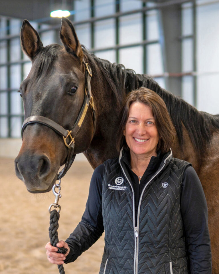 Laurie Goodrich and Translational Medicine Veterinary Medicine at