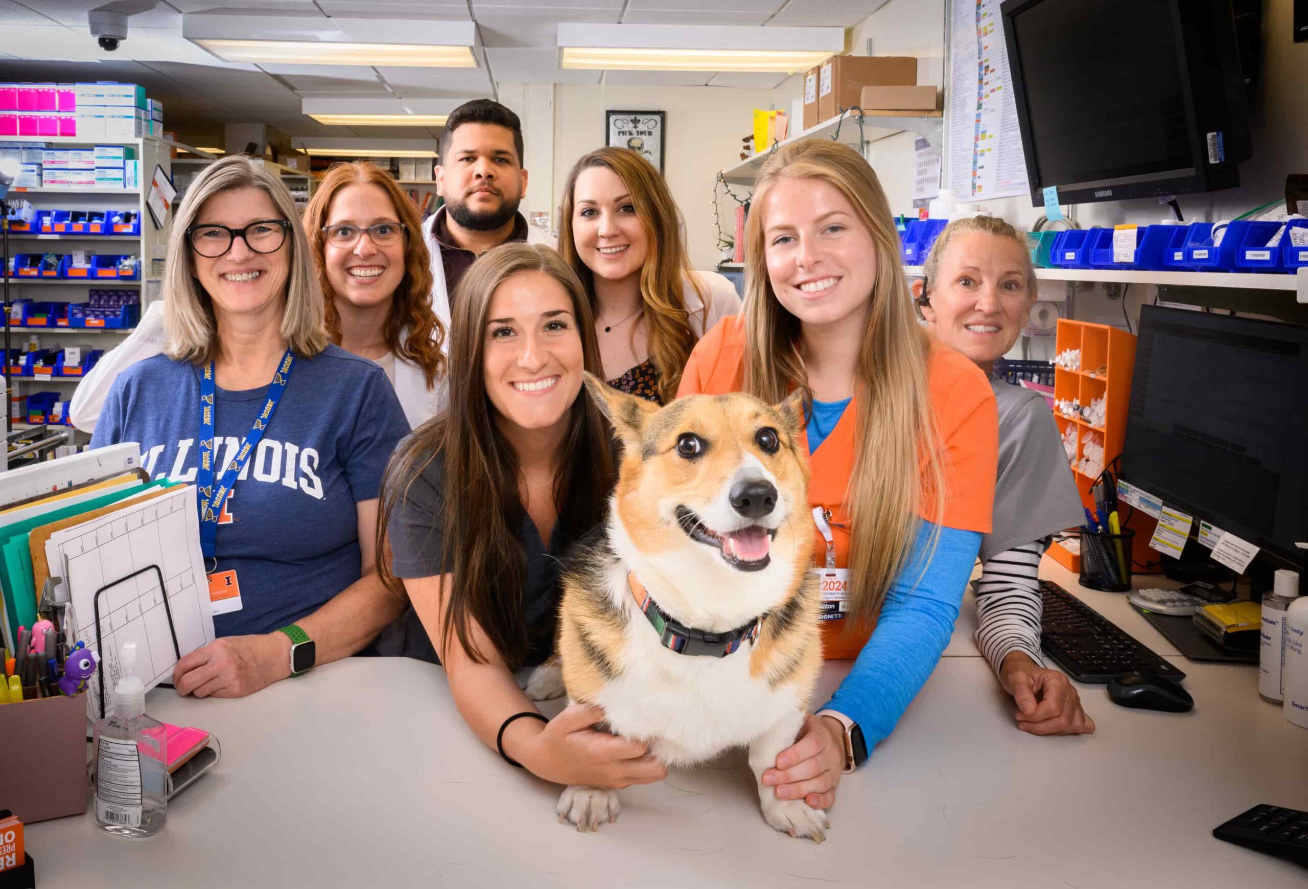 medication dispensary team with corgi dog