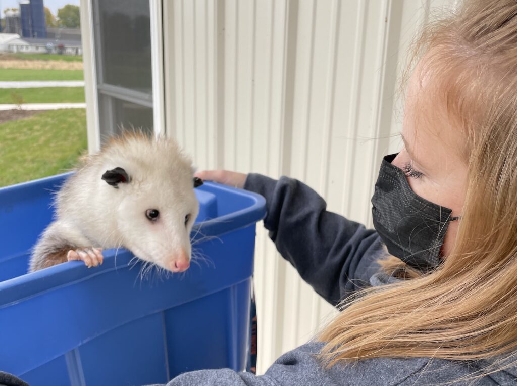 Patty in plastic tub with volunteer