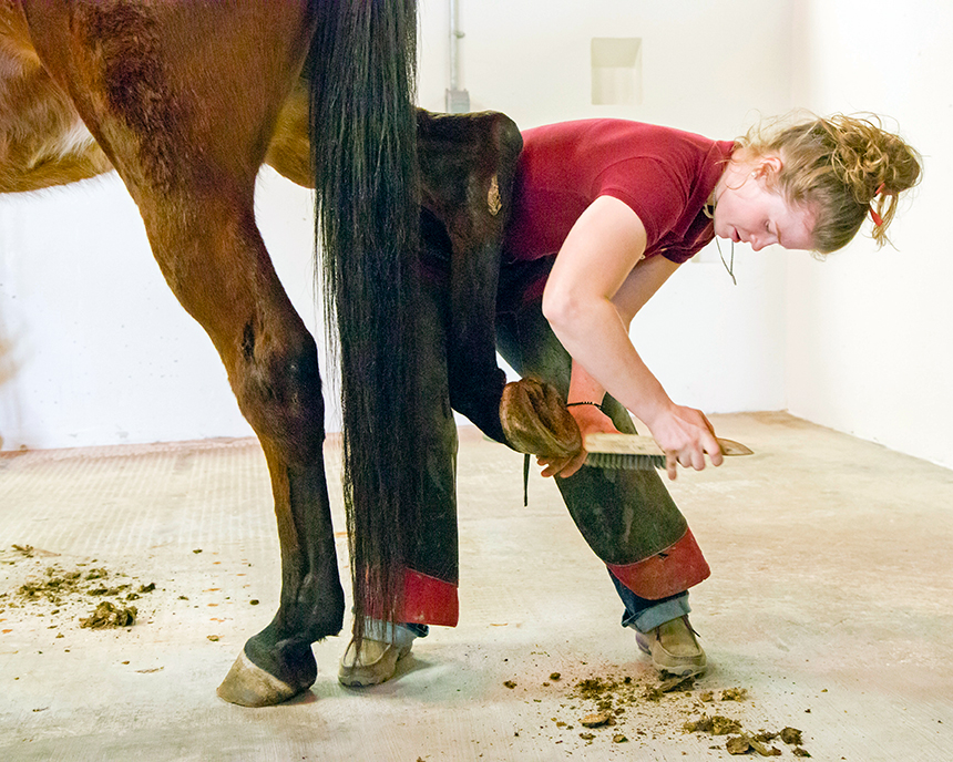 [A farrier works on a horse's hoof]
