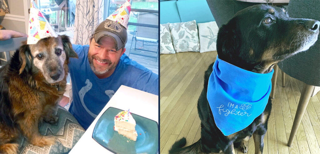 A photo of Max enjoying birthday cake with his owner and a photo of Dezzi; both dogs were part of the first canine melanoma trial.
