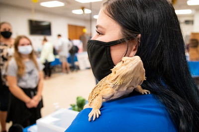 A veterinary student talks with Open House guests while a bearded dragon perches on her shoulder.