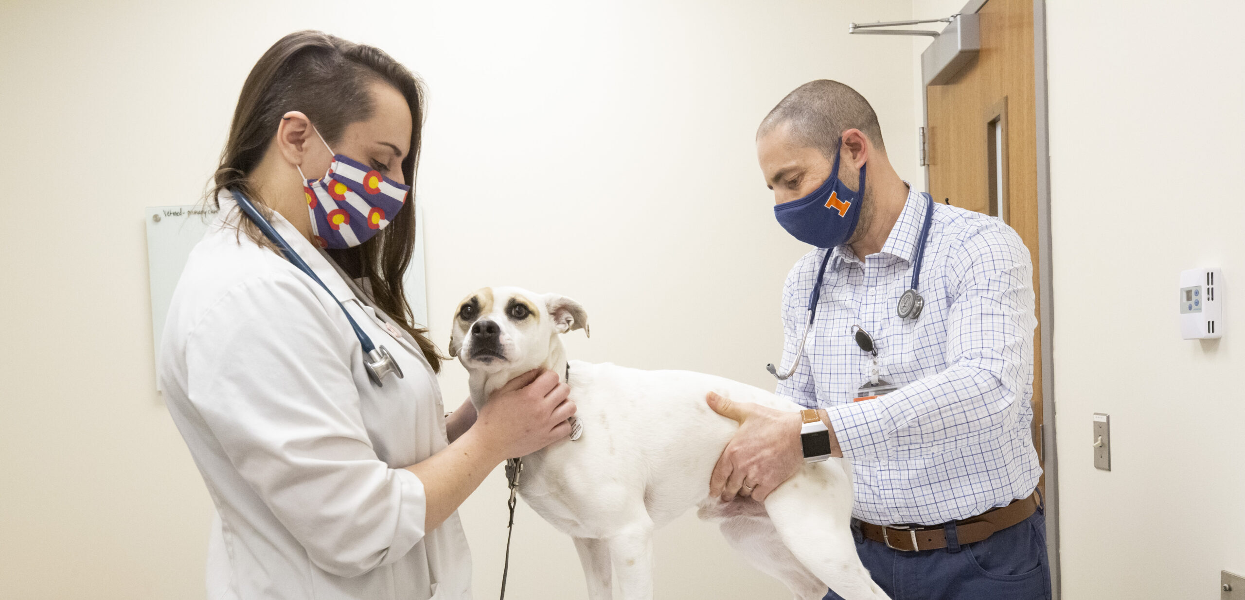 Small Animal Primary and Urgent Care Internship 2023-2024 - Veterinary  Medicine at Illinois