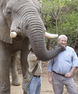 Elephant tickling Dr. Roca under the chin