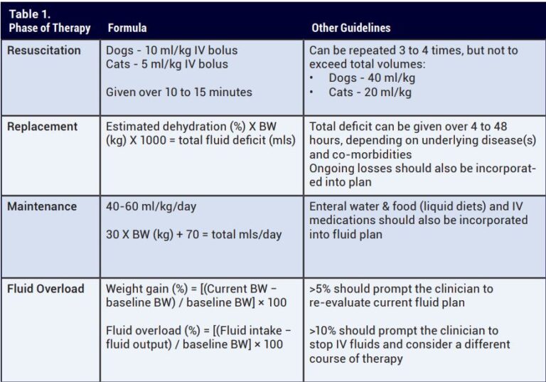 Considerations for Creating a Fluid Therapy Plan Veterinary Medicine