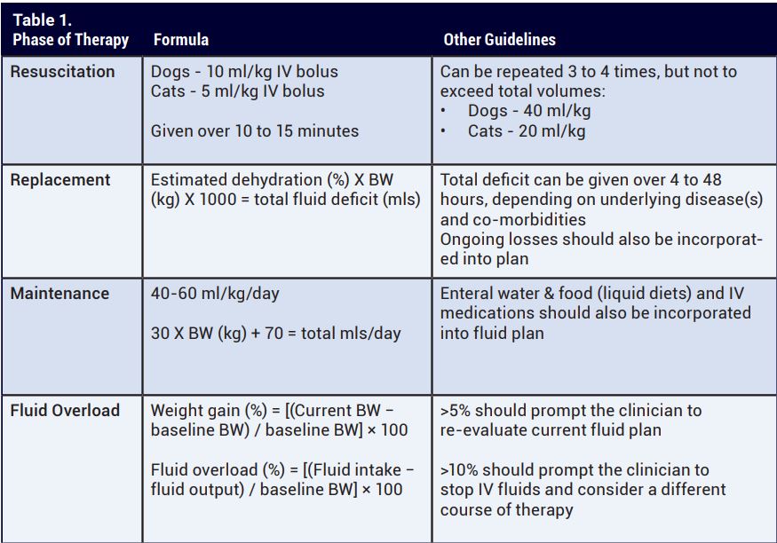 Considerations for Creating a Fluid Therapy Plan Veterinary