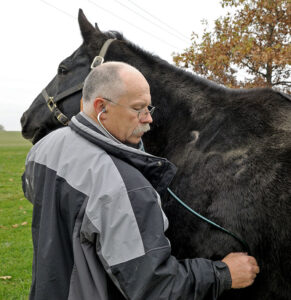 Dr. Scott Austin listens to a horse's heart.