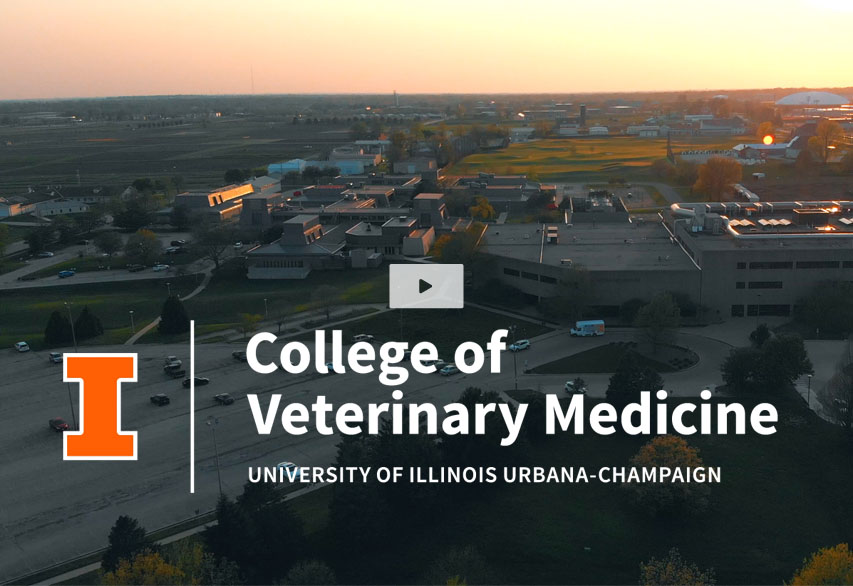College of Veterinary Medicine - Veterinary Medicine at Illinois