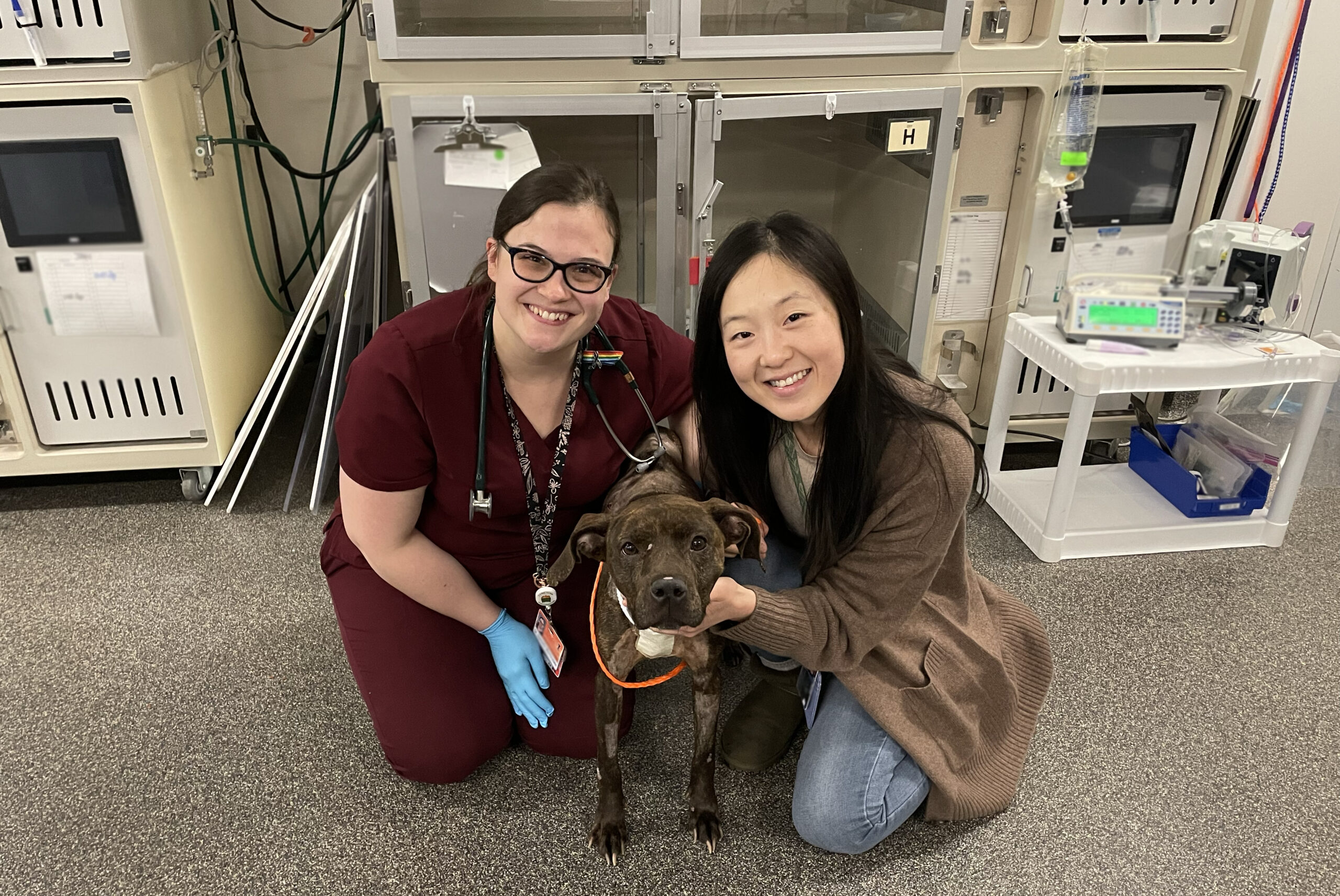 Dr. Martindale and Dr. Chen pose with Birdie, a brown and black midsize dog, in the hospital