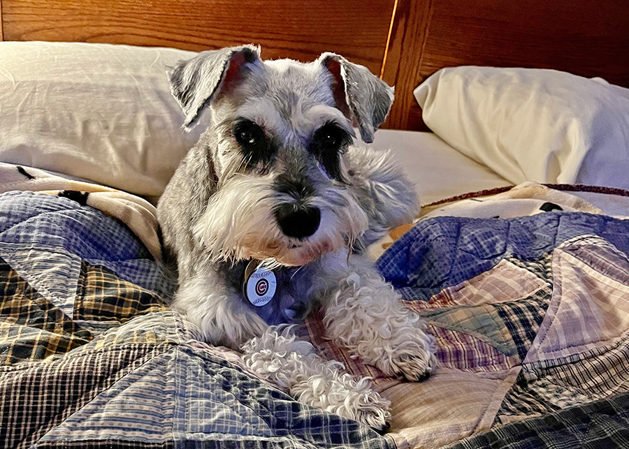 Brix poses on a bed after her sight was restored