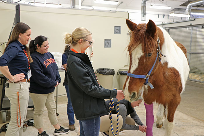 Equine bandaging wet lab, led by Dr. Lori Madsen (left).