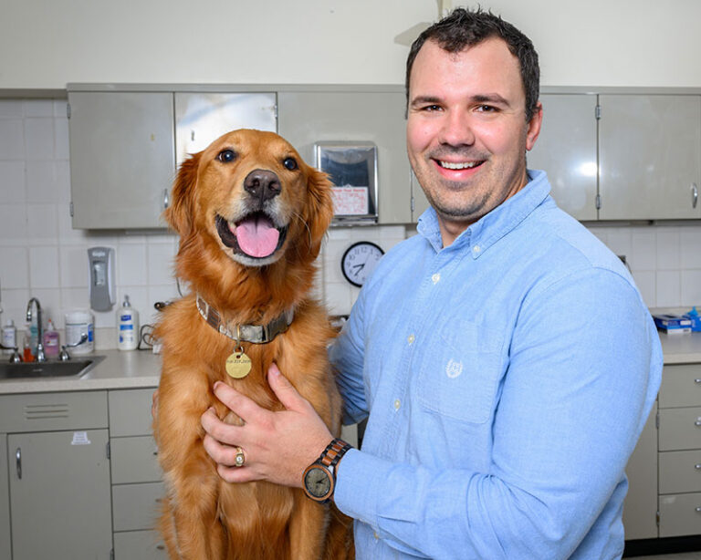 Faculty Spotlight: Todd Marlo, DVM, MS, DACVO - Veterinary Medicine at ...