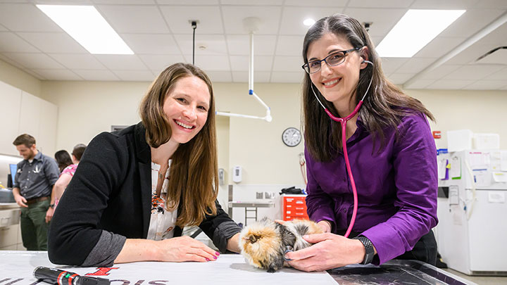 Dr. Michelle Borsdorf and Dr. Judilee Marrow examine a guinea pig
