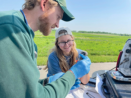 Dr. John Winter and vet student Katelyn Deppe assess the health of a young kestrel