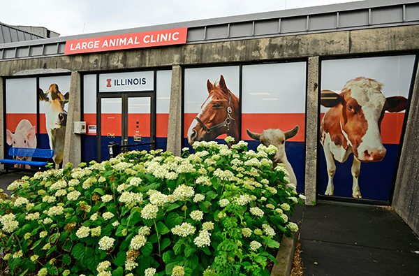Entrance to Large Animal Clinic