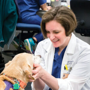 Dr. Devon Hague examines a dog