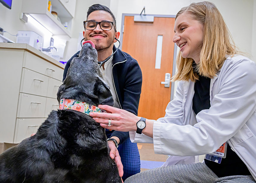A student listens to a dog's heart while Dr. Alyssa Baratta-Martin assists