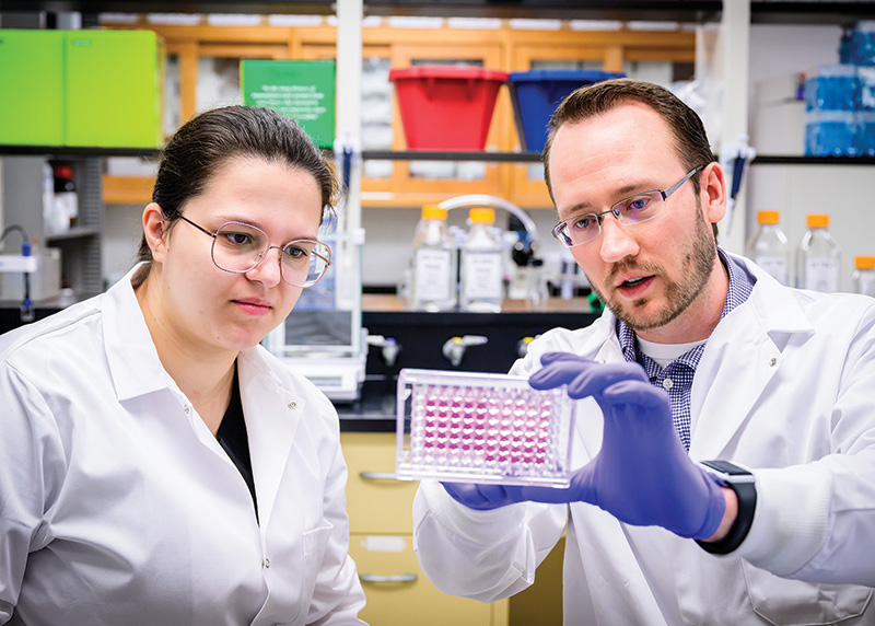 Featured image by Fred Zwicky shows Dr. Berry (at right) conferring with veterinary student Brianna Moore, who conducts research in his lab.