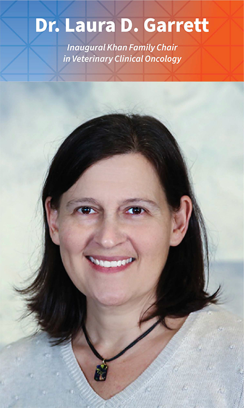 Dr. Laura D. Garrett
Inaugural Khan Family Chair in Veterinary Clinical Oncology
