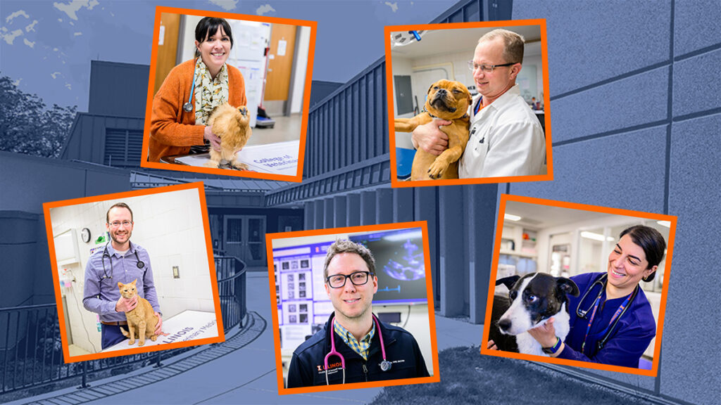 Meet the Newest Members of the Team That Shapes the Future - Veterinary ...