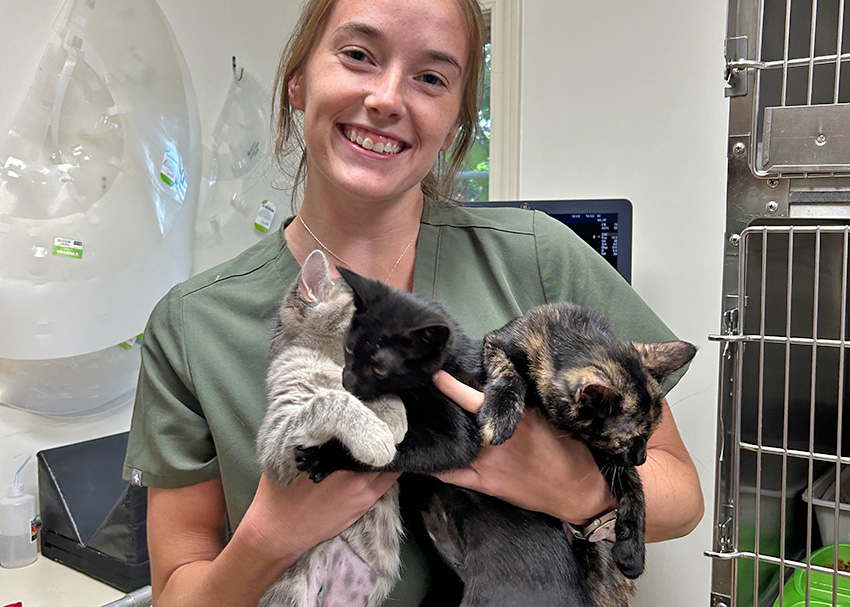 Annie Marlowe poses with some of the kitties she spayed during a summer externship