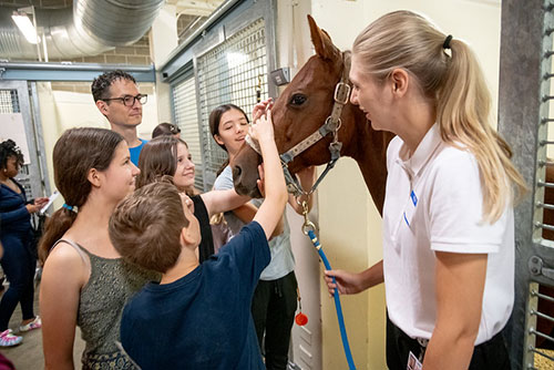 People touching horse at Vet Med Open House