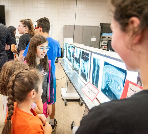 A group of children looking at x-rays of animals' injuries.