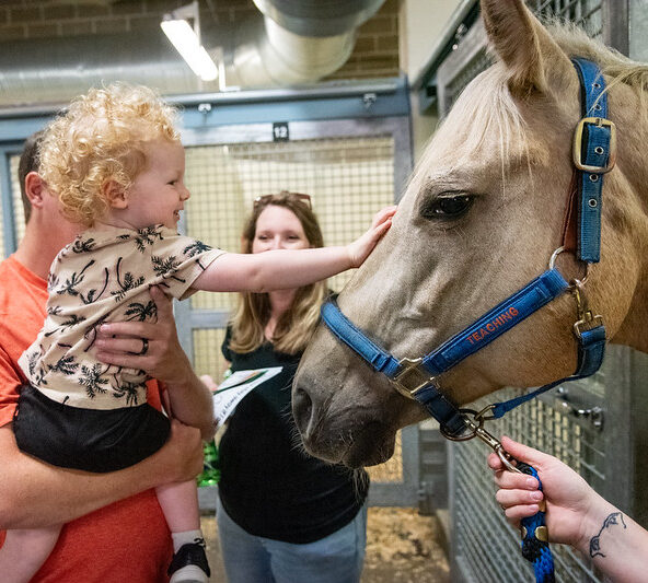 A child being held, petting a horse's nose at Open House 2024.