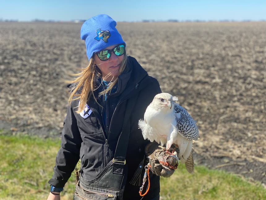 Falconer and WMC volunteer, Sarah Spang with her Gyrfalcon on the glove.