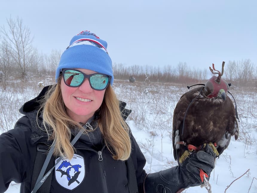 Falconer and WMC Volunteer, Sarah Spang, with her red tailed hawk on the glove.