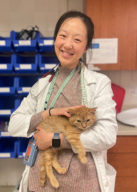 Dr. Monica Chen holding a cat.