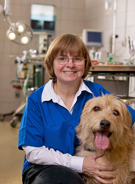 Dr. Sandy Manfra with her dog Nala in the dental suite at the University of Illinois College of Veterinary Medicine