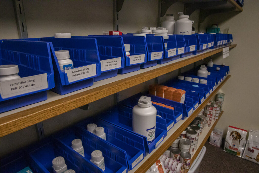 A wall of pet medication, with medication bottles in blue crates.