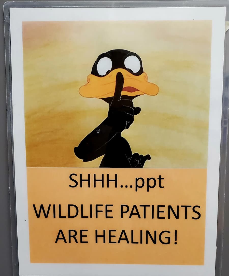 Sign on Wildlife Door to remind volunteers to keep voices down around patients.