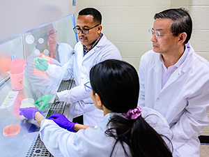 Three members of the Zhang lab work under a hood