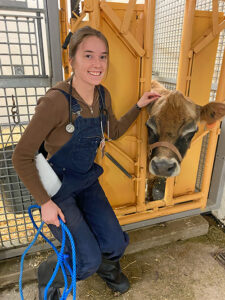 Annie Marlow with a cow in a headgate