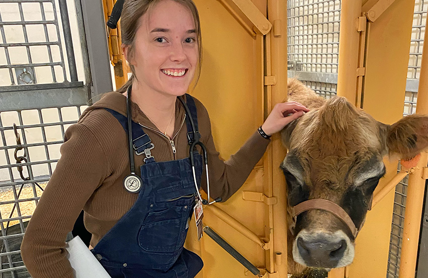 Vet student Annie Marlowe poses with a cow in a headgate.