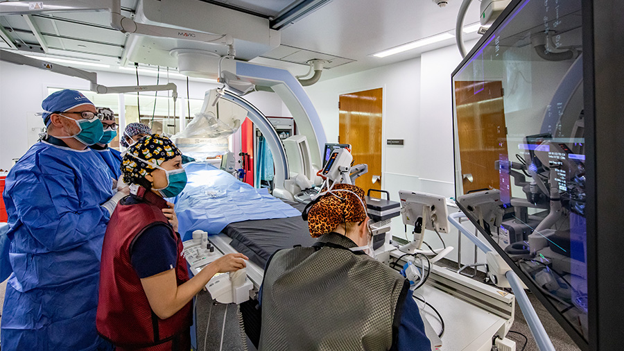 The 'heart team' operates in an interventional procedure surgery suite at the University of Illinois Veterinary Teaching Hospital.