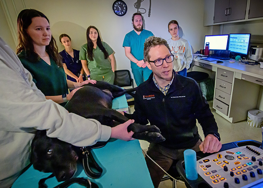 Veterinary cardiologist Dr. Carl Toborowsky instructing students