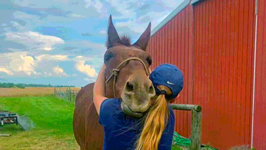 Art the mule gets a chiropractic adjustment from Dr. Catherine Foreman-Hesterberg