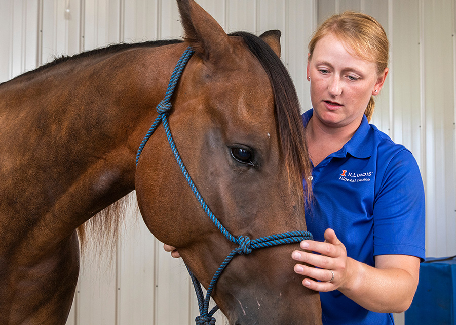 Dr. Foreman-Hesterberg with a horse.