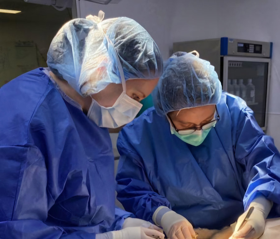 Emily Verwers in surgical scrubs closing a biopsy site under the supervision of Dr. Moran.