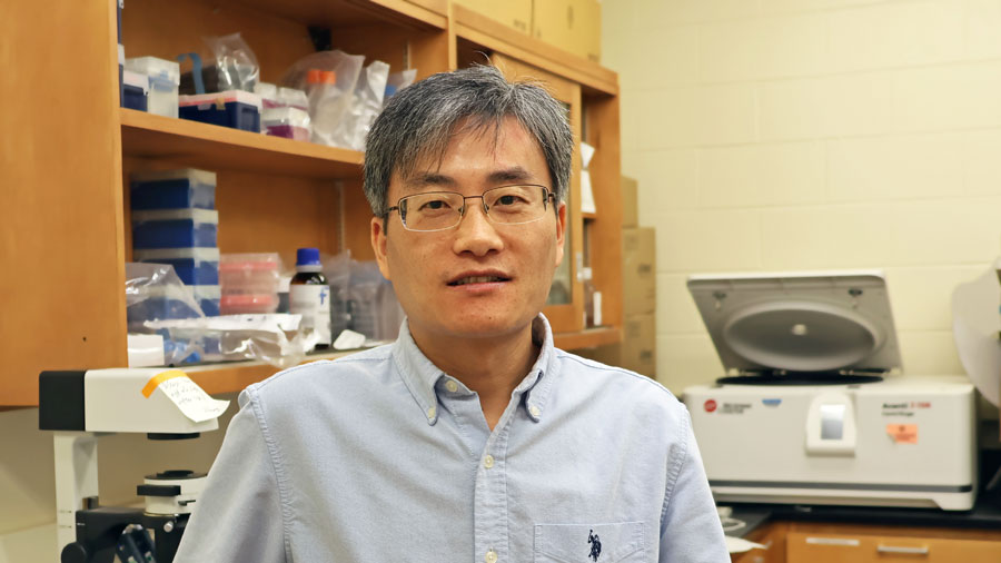 researcher Bo Wang stands in a laboratory