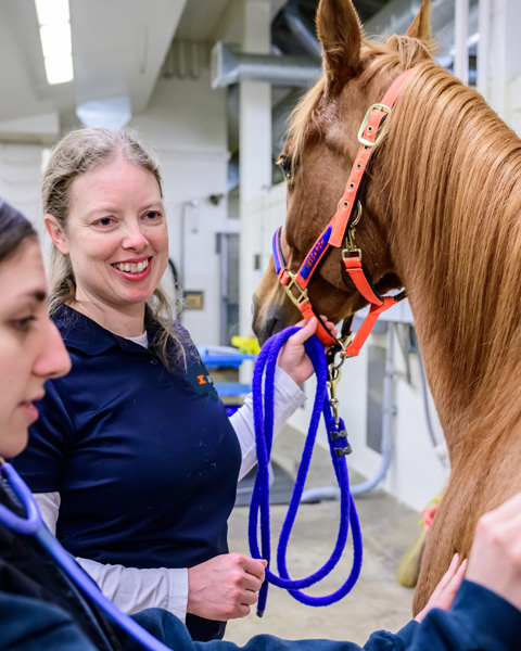 Annette McCoy supervises a student listening to a horse's heart
