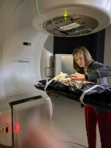Linear accelerator used on Neko, the 30-year-old umbrella cockatoo