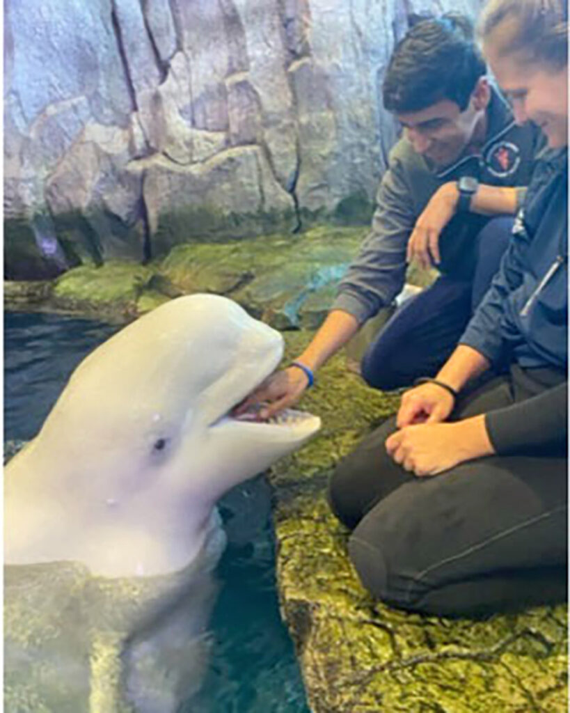 Varun Seth interacting with a marine mammal.